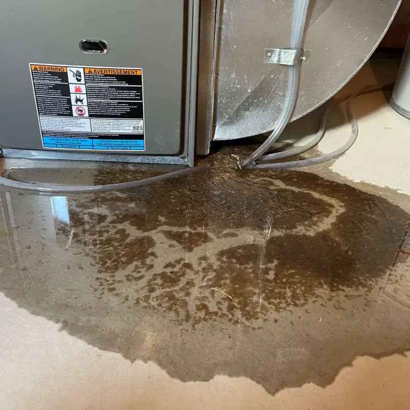 Appliance Leak Cleanup in Belcourt, ND