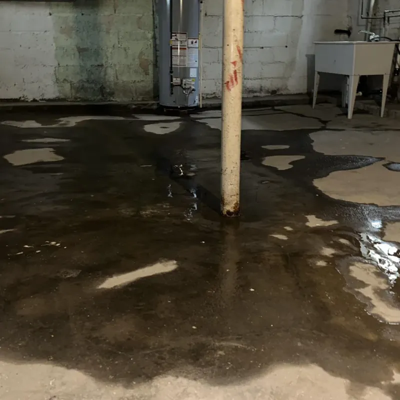 Emergency Water Extraction And Removal in Belcourt, ND